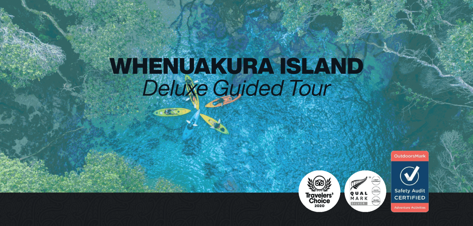 Whenuakura - Donut Island Guided Kayak Tour